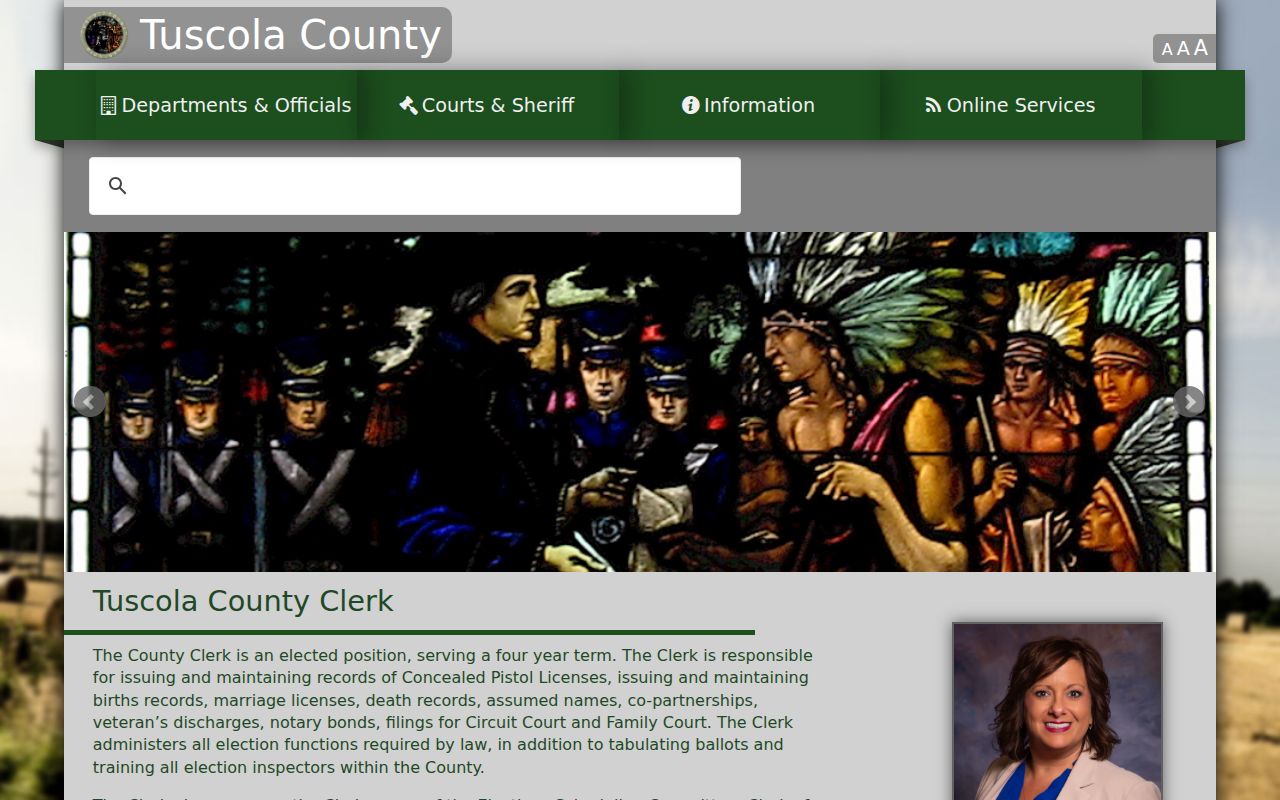 Tuscola County court docket County Clerk records, search, and copy page
